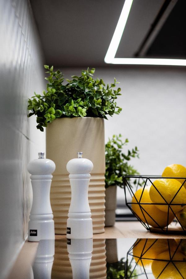 Brivibas House Design Apartments In City Center 里加 外观 照片