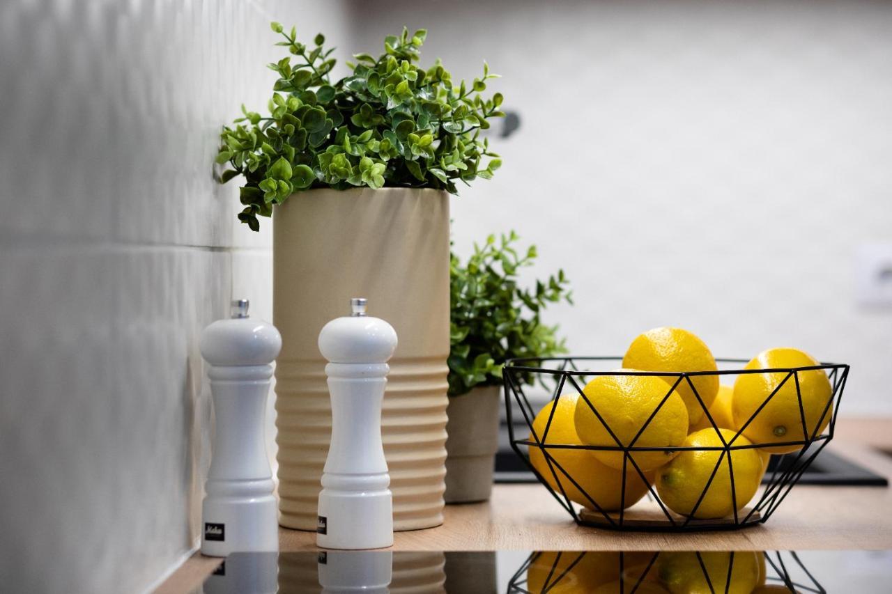 Brivibas House Design Apartments In City Center 里加 外观 照片